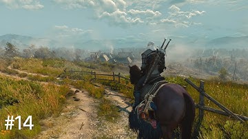 The Witcher 3 : Wild Hunt - Walkthrough "THE NILFGAARDIAN CONNECTION" - Part 14