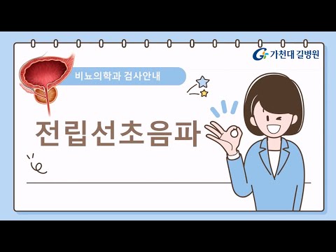 전립선 초음파 검사 안내