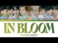 ZEROBASEONE (제로베이스원) - In Bloom [Color Coded Lyrics/Han/Rom/Eng/가사]