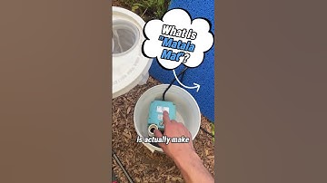 DIY Pond Filter made from a Spirulina Flake bucket! #Turtle #PondFilter #DIY