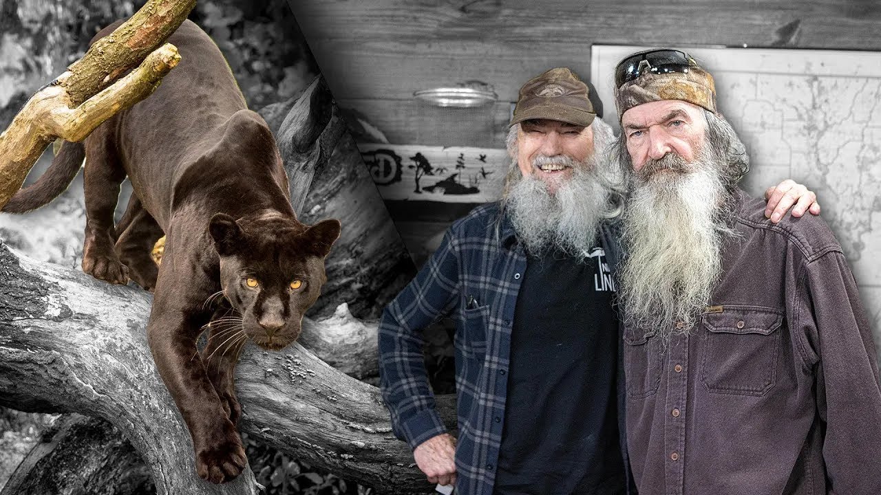 Phil Robertson Recalls Encountering a Black Panther in Louisiana