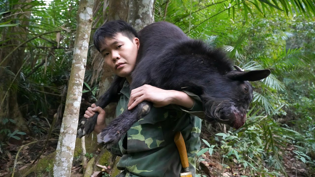 Survival in the wild, wild goat traces, traps to catch, bring wild goats to sell, survival alone