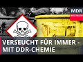 Bitterfeld und das verseuchte Erbe der DDR-Chemie | Reupload | Doku