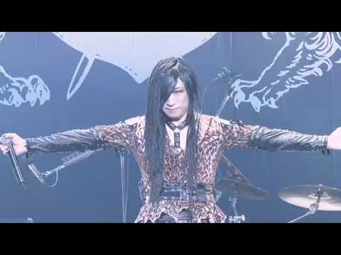 D 無期限活動休止前 Last Tour 2023～2024「血界」Grand Final 豊洲PIT