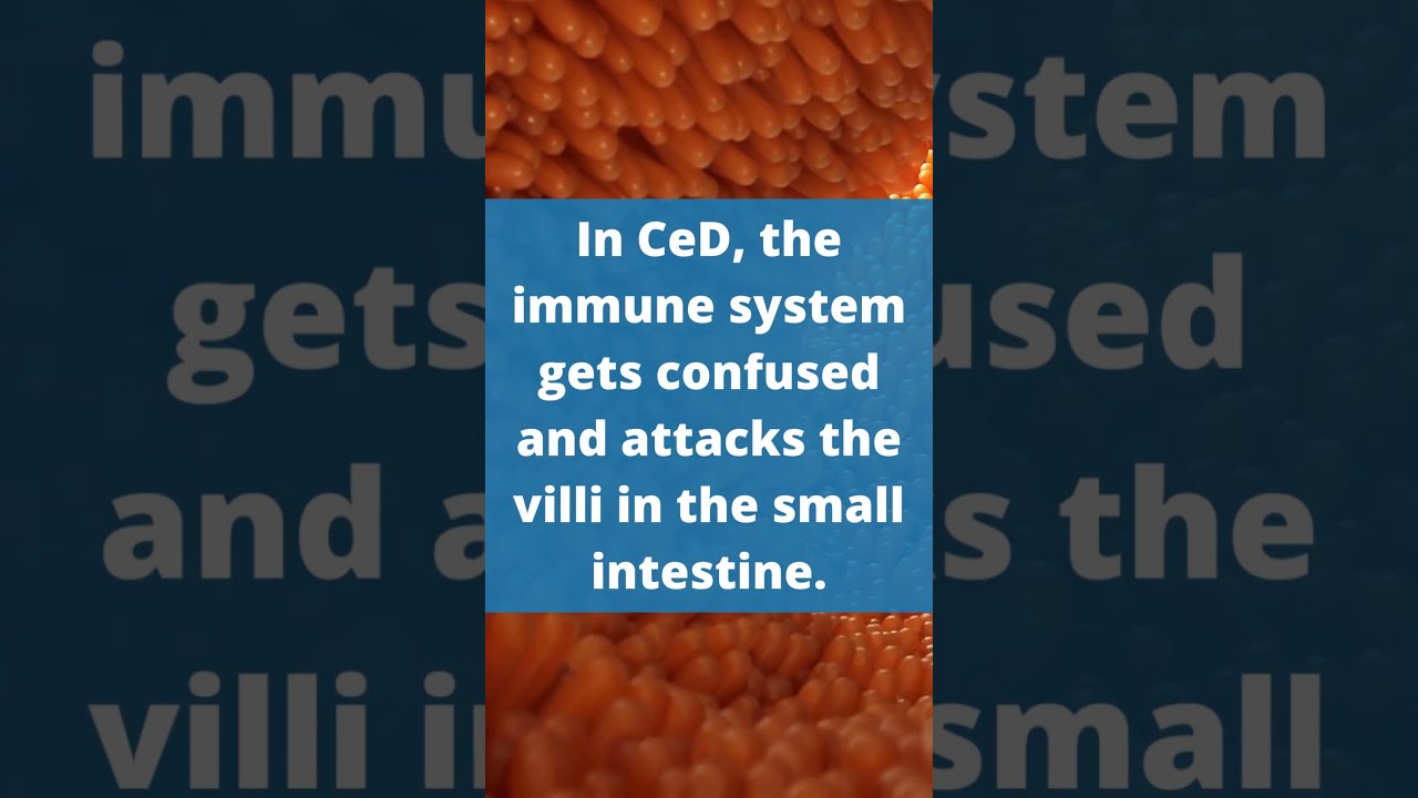 What Is Celiac Disease 