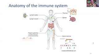 Cells, Immunity and COVID 19 Webinar