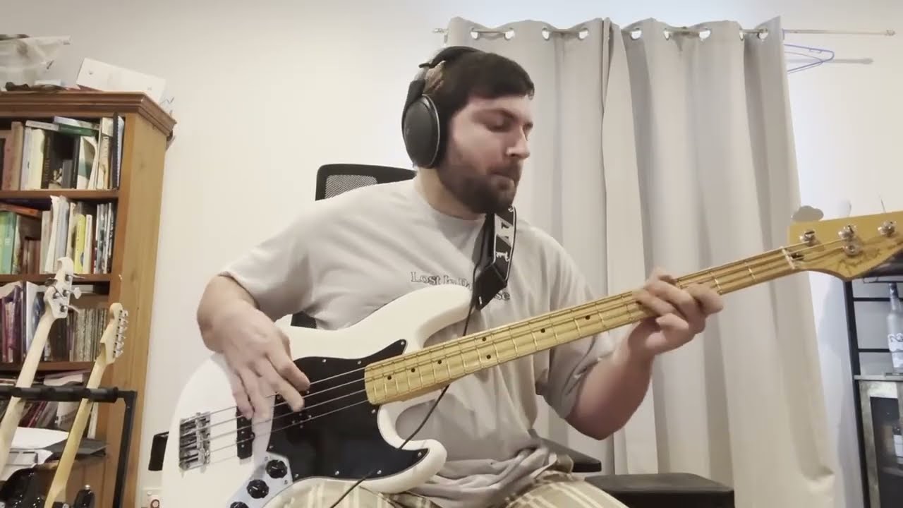 Hump De Bump By Red Hot Chili Peppers Bass Cover