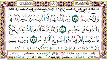 القرآن الكريم كتابة بدون صوت - سورة فصلت - صفحة 480 للقراءة والحفظ