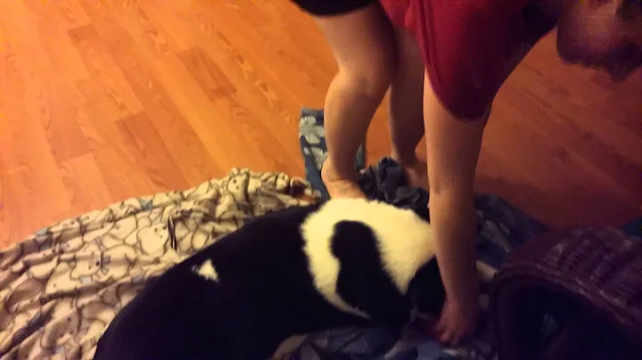 Funniest Dog video.