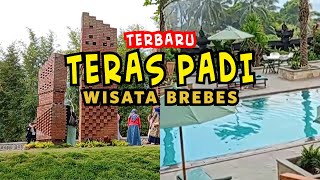 Teras Padi Wisata Brebes Resto & Cafe Terbaru