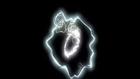 The Elegant Universe Part 2   String