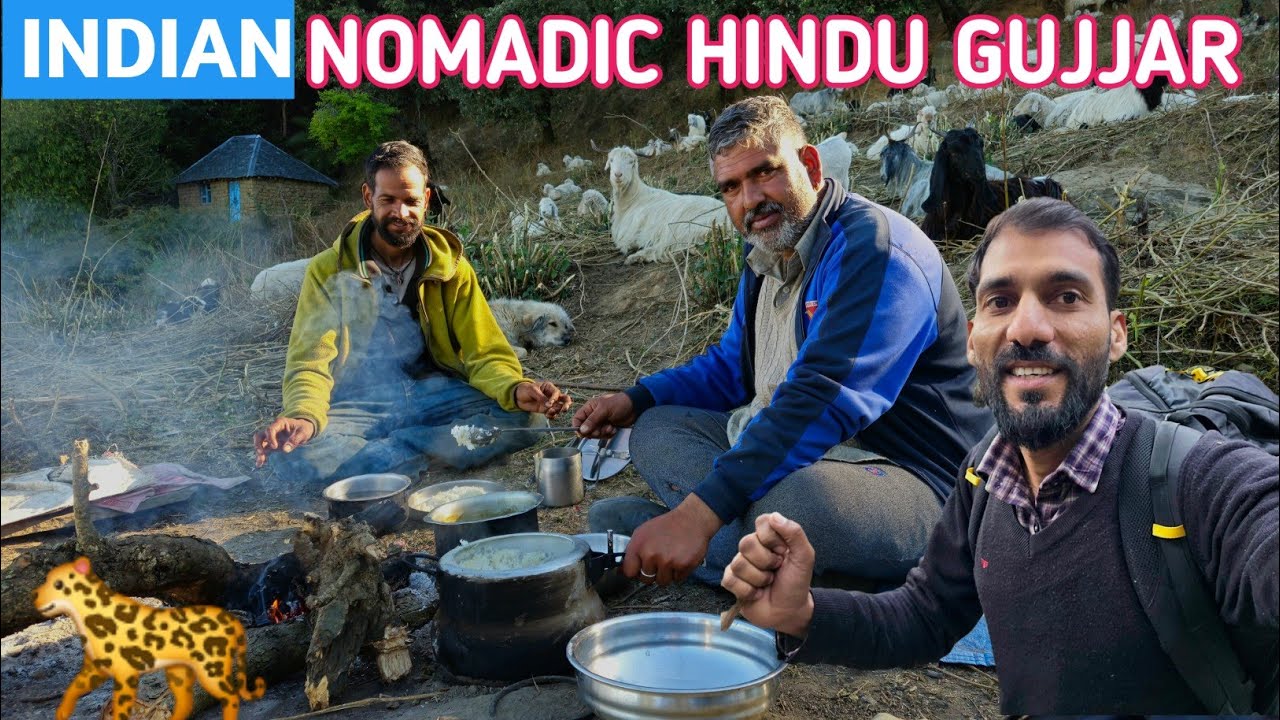 खतरनाक जंगली रास्तों से होते हुए पहुँच ही गया 🙂 Going To JUNGLE for Night camping with Shepherd's 