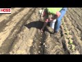 Planting Red 'Taters'