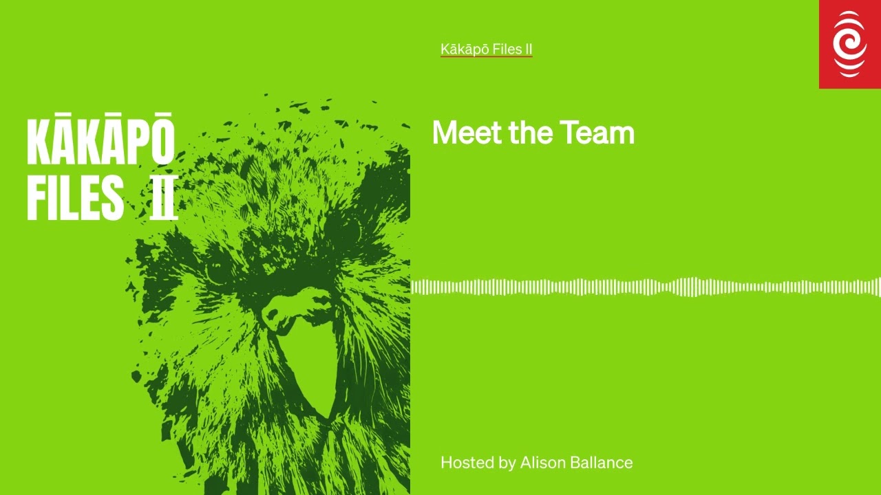 Meet the Team | Kākāpō Files II
