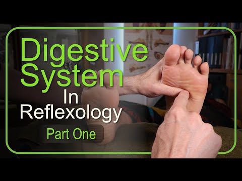 How to Work the Entire Digestive System in Reflexology (Part 1)
