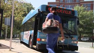 Public Transit Survey