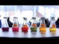 CNSI Nanoscience Lab Summer Institute Final Presentations