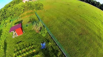 Betaflight 3.5.3 - feed forward = sim mode?