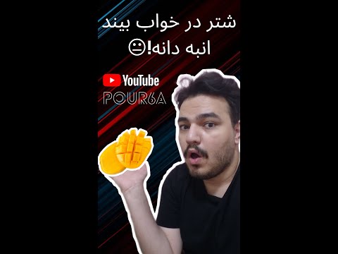 بریدن انبه انبه رو مثل عکس روی آبمیوه هاش بریدم