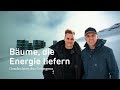 Bäume, die Energie liefern – So wird erneuerbare Energie in den Alpen erzeugt