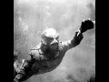 Revenge of the Creature (1955)