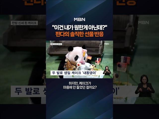 케이크 받은 판다 반응 #shorts #숏톡