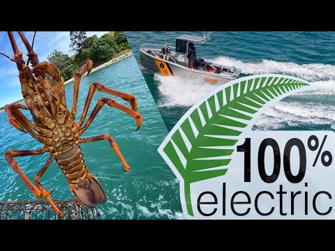 Lobster Fishing with an100% Electric Boat!