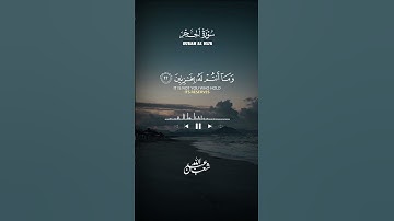#عبدالله_أحمد_شعبان#سورة_الحجر #قران_كريم#قرآن#تلاوات_خاشعة #راحة_نفسية#تلاوات #تلاوة_هادئة #اسلام ❤