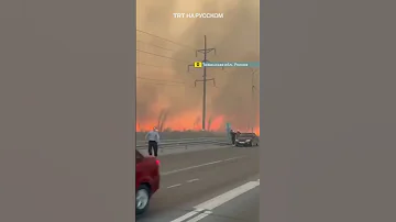На Урале и в Сибири полыхают лесные пожары