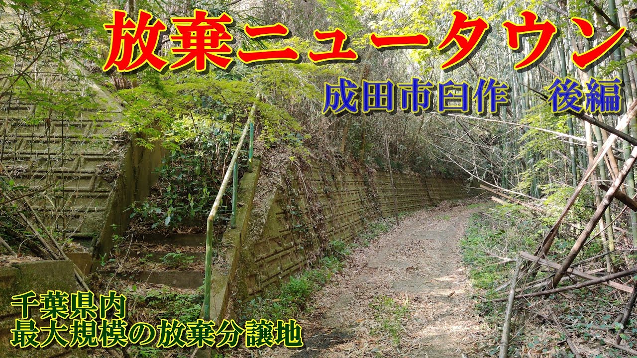 【放棄分譲地】成田市臼作　千葉県最大規模の放棄ニュータウン（後編）