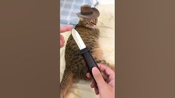 TF2 Memes I unboxed from the internet pt 5