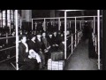 Industrialization Urbanization and Immigration