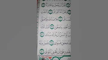 ما معنى "أيحسب الإنسان أن يترك سدى"#سورة #القيامة