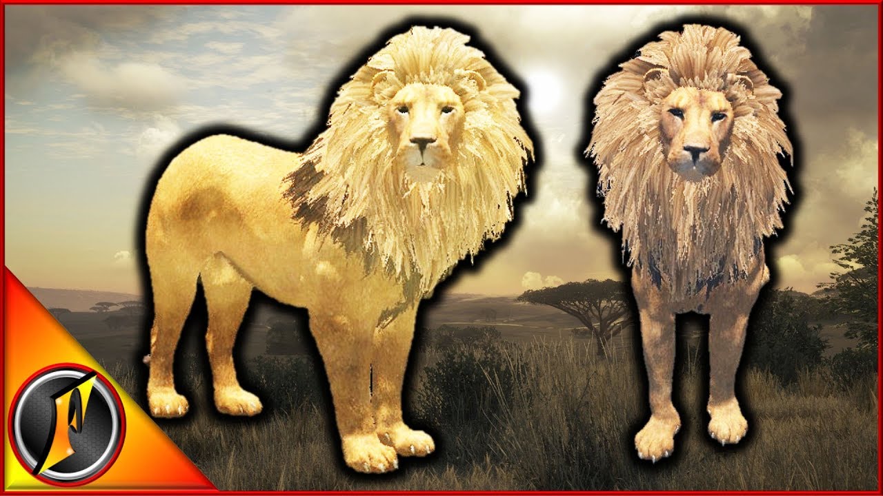 Hunting for a Blonde Lion! theHunter Call of the Wild - YouTube