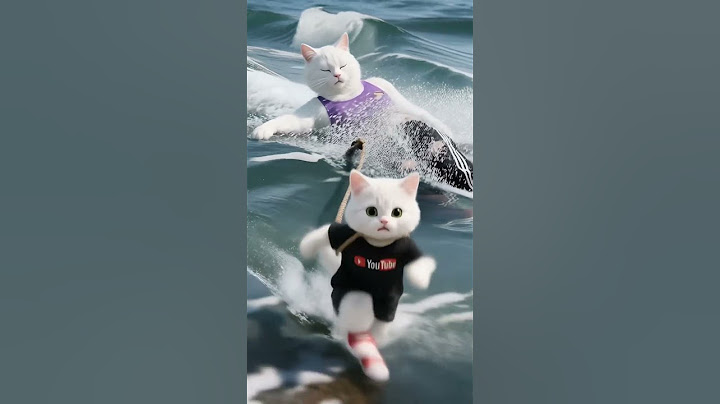 The plane crashed, and the kitten rushed through the air to rescue her dad from the sea.