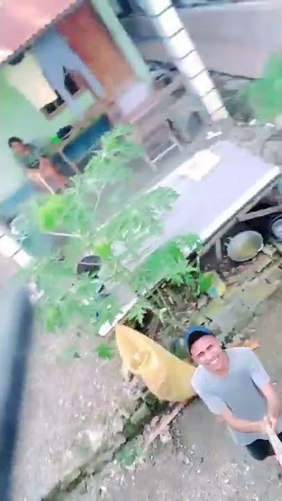healing kita healing lagi viral di tiktok🤣