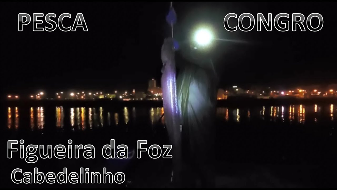 Pesca ao Congro na Figueira da Foz - detalhes técnicos