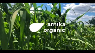 Download Mp3 Arnika Organic in 2023 - Corporate video Gudang lagu Download Mp3 Arnika Organic in 2023 - Corporate video