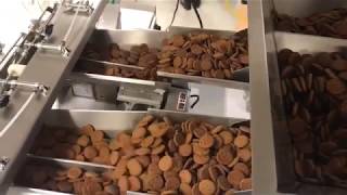 FAS SPrint Revolution™ SidePouch® Gingerbread Snaps Application with Infeed