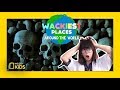 Exploring the Catacombs of Paris