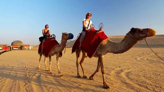 Dubai'de Çalışmak İster misiniz? iş bulmak için yapmaniz gereken 6 adım