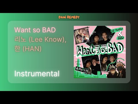 INSTRUMENTAL 리노 Lee Know 한 HAN Want So BAD Stray Kids SKZ RECORD