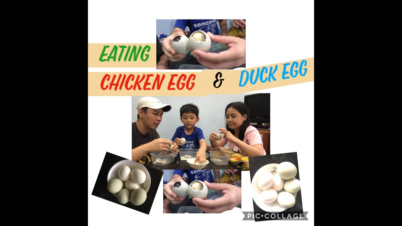 Eating chicken egg & Duck Egg and My Kids Reactions YouTube
