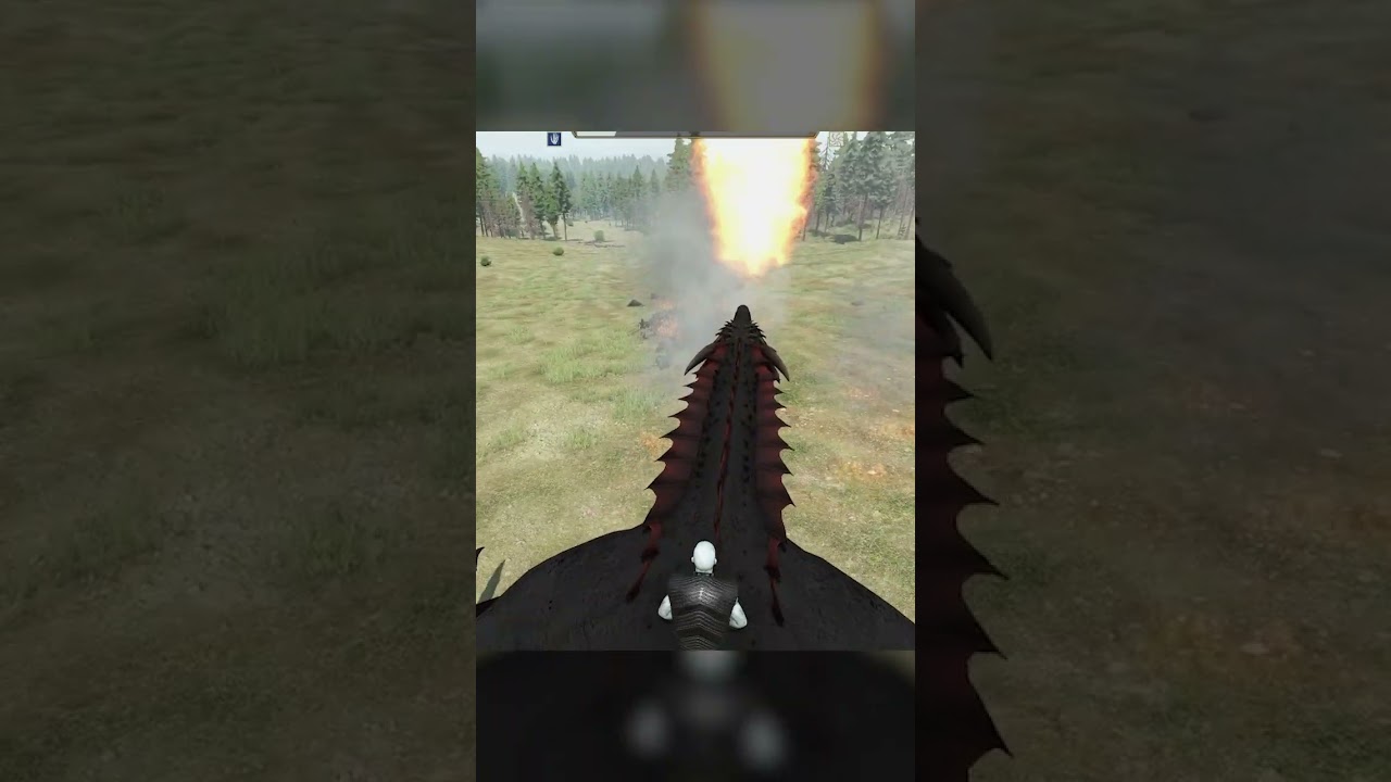 🐲DRAGON RIDING🐲 IN BANNERLORD 