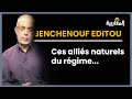 Benchenouf editou  ces allis naturels du rgime