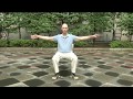 Sitting Tai Chi and Qigong Wellness Exercises (70% Speed)