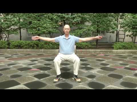 Video thumbnail for “Sitting Tai Chi and Qigong Wellness Exercises (70% Speed)” by George Chengxi Bao