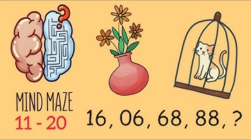Mind Maze -  Fun BrainTeasers  Level 11 12 13 14 15 16 17 18 19 20