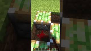 Como Fazer um PULA-PULA INSANO no Minecraft!