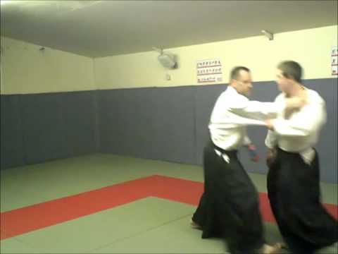 Judo Or Aikido You Decide